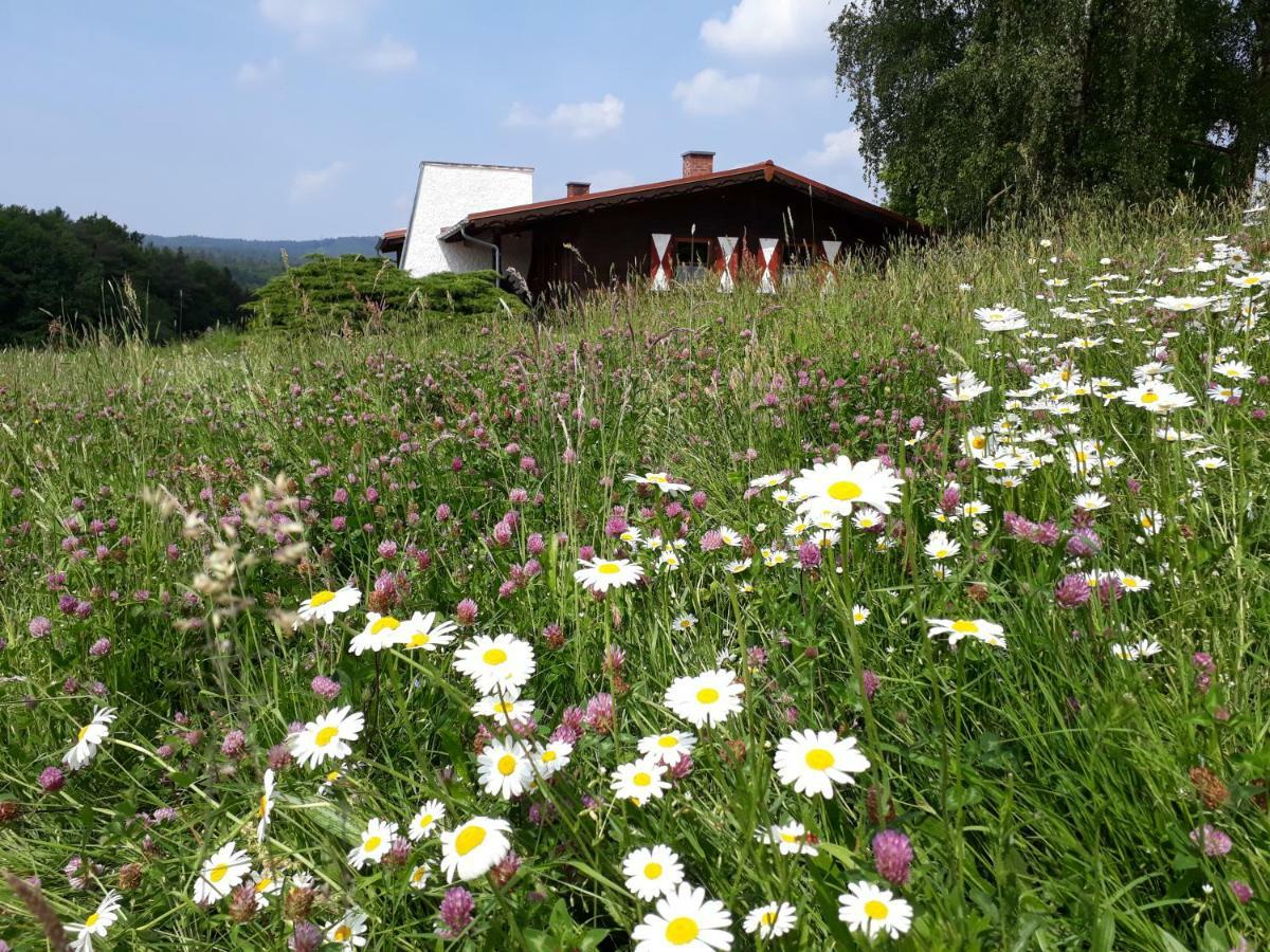 Ellernhof Im Spessart Villa Stadtprozelten Eksteriør bilde